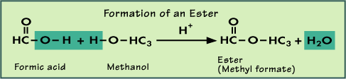 978_Show the basic stucture of Esters2.gif